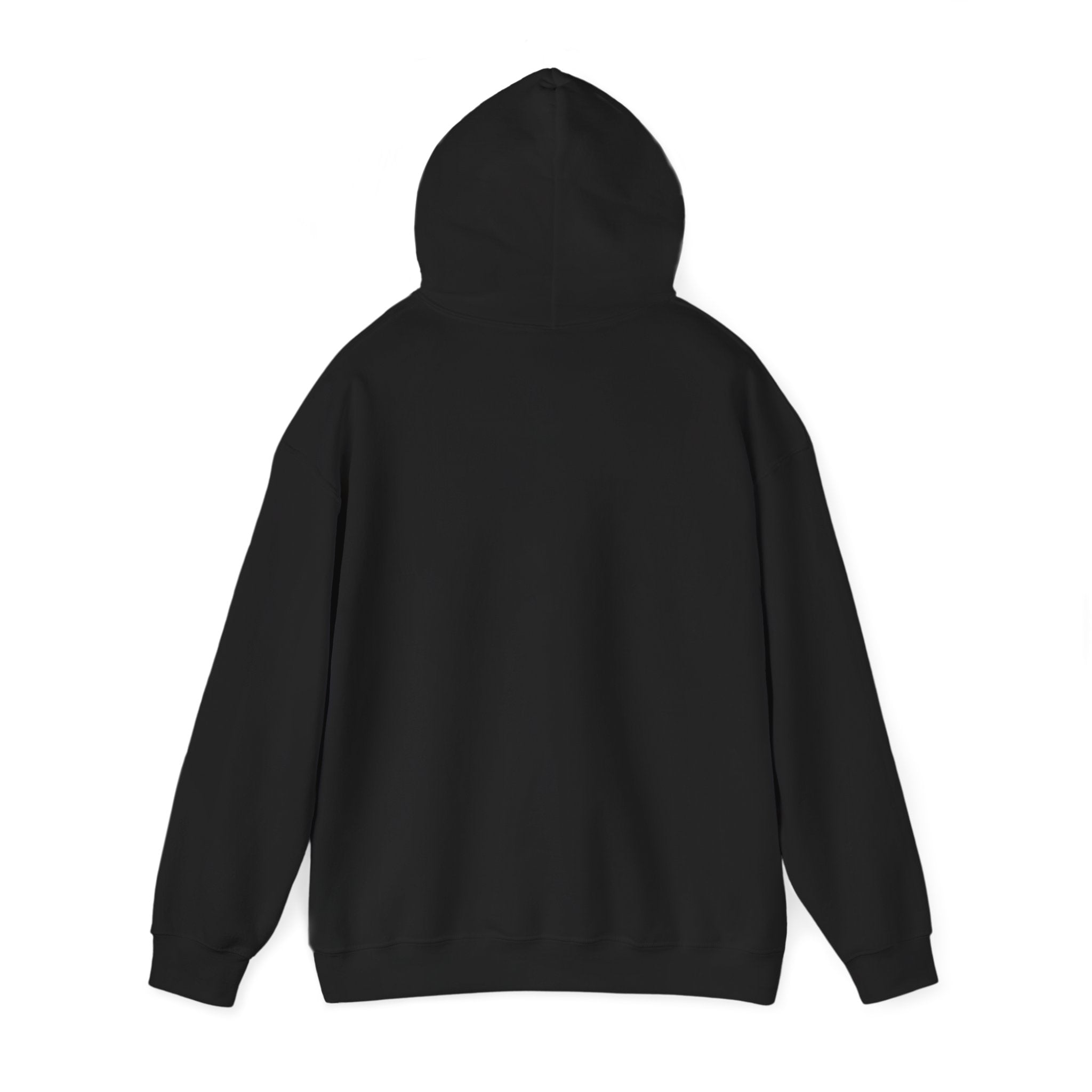 Rise and Vibe Unisex Hoodie — Motivational Graphic Pullover, Runway Vibe Tribe Statement Morning Anthem